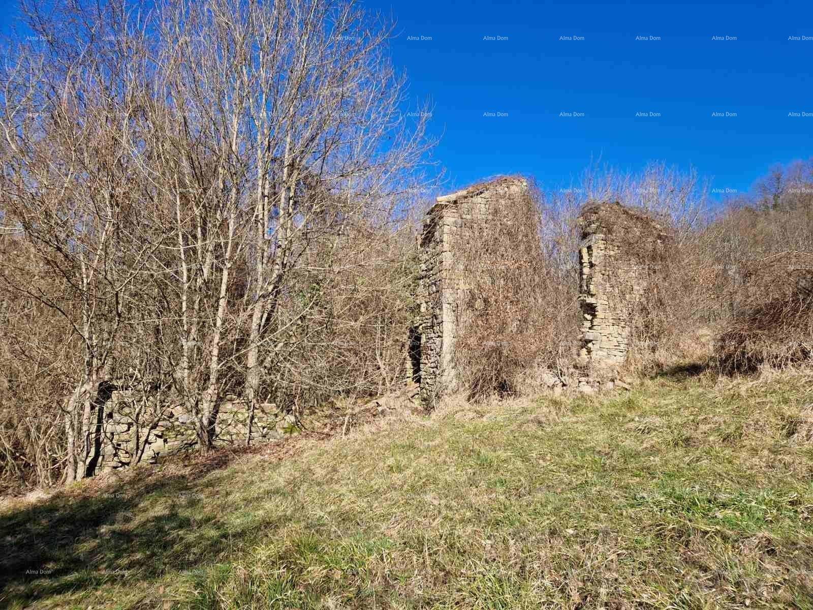 Überwachsene Steinruinen auf einem grasbewachsenen Hang unter einem klaren blauen Himmel, umgeben von kahlen Bäumen.