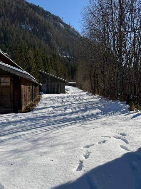Verschneiter Weg zwischen Gebäuden, der zu einem dichten Wald und Bergen in der Ferne führt.