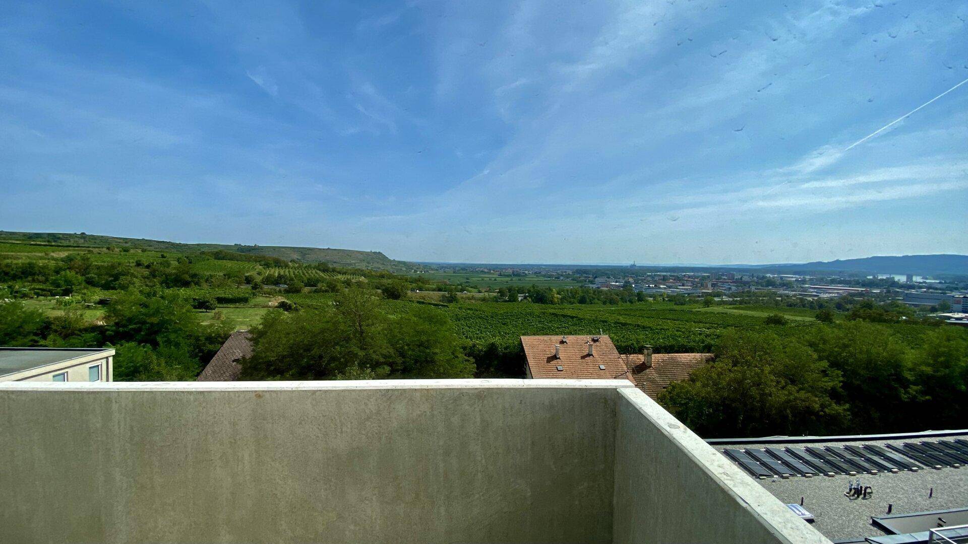 Panoramablick über grüne Weinberge und die weite Landschaft mit einer Stadt am Horizont unter blauem Himmel.
