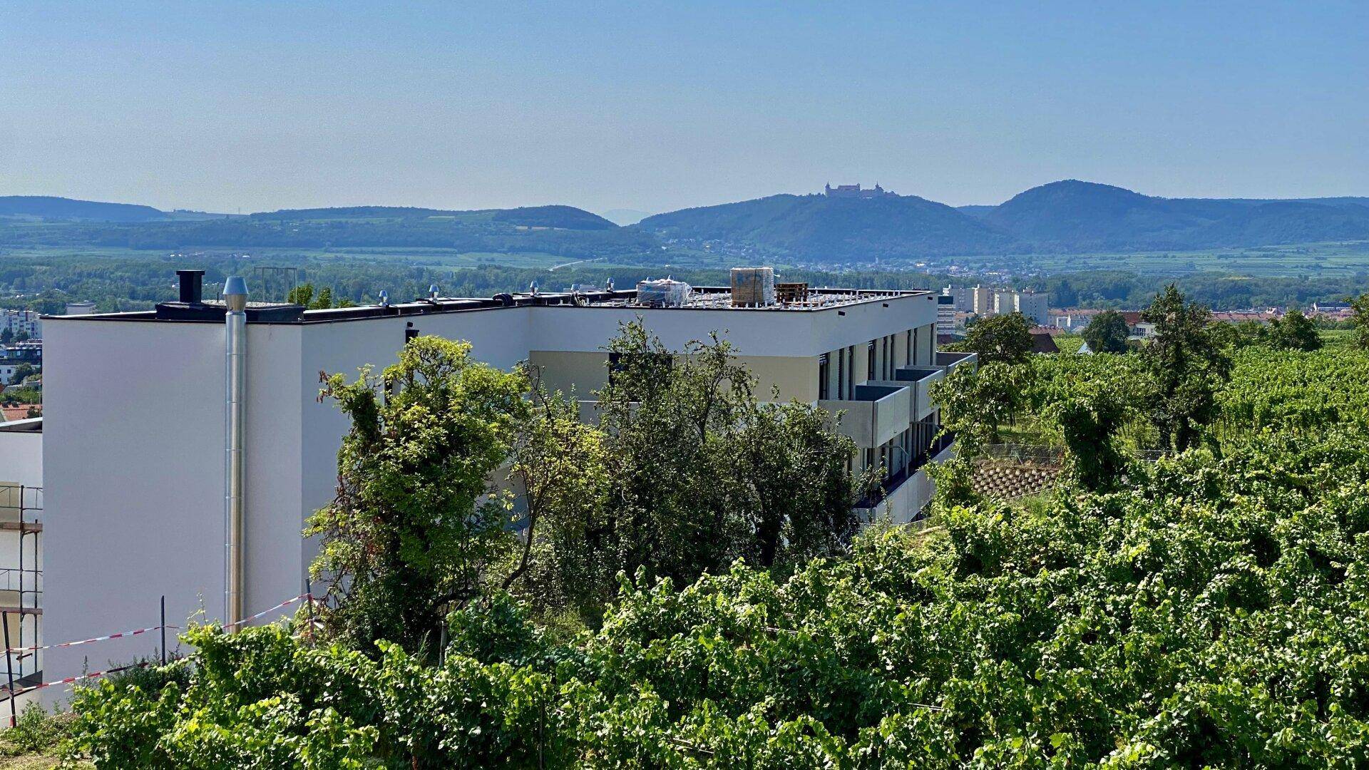 Moderne Architektur umgeben von grünen Weinbergen mit Blick auf die hügelige Landschaft.