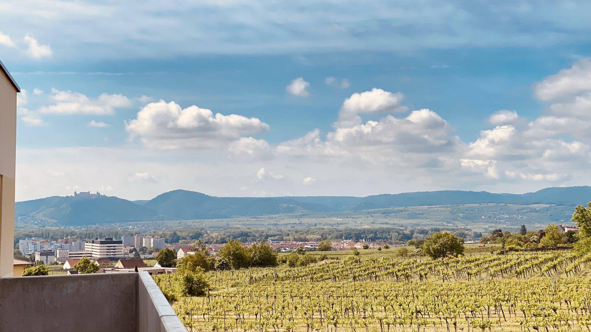 Atemberaubender Panoramablick über Weinberge, eine Stadt und die majestätischen Berge am Horizont.