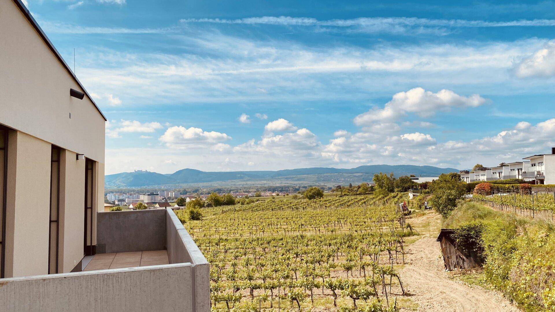 Weitläufiger Blick von der Seite des Gebäudes auf die umliegenden Weinberge und die Landschaft.
