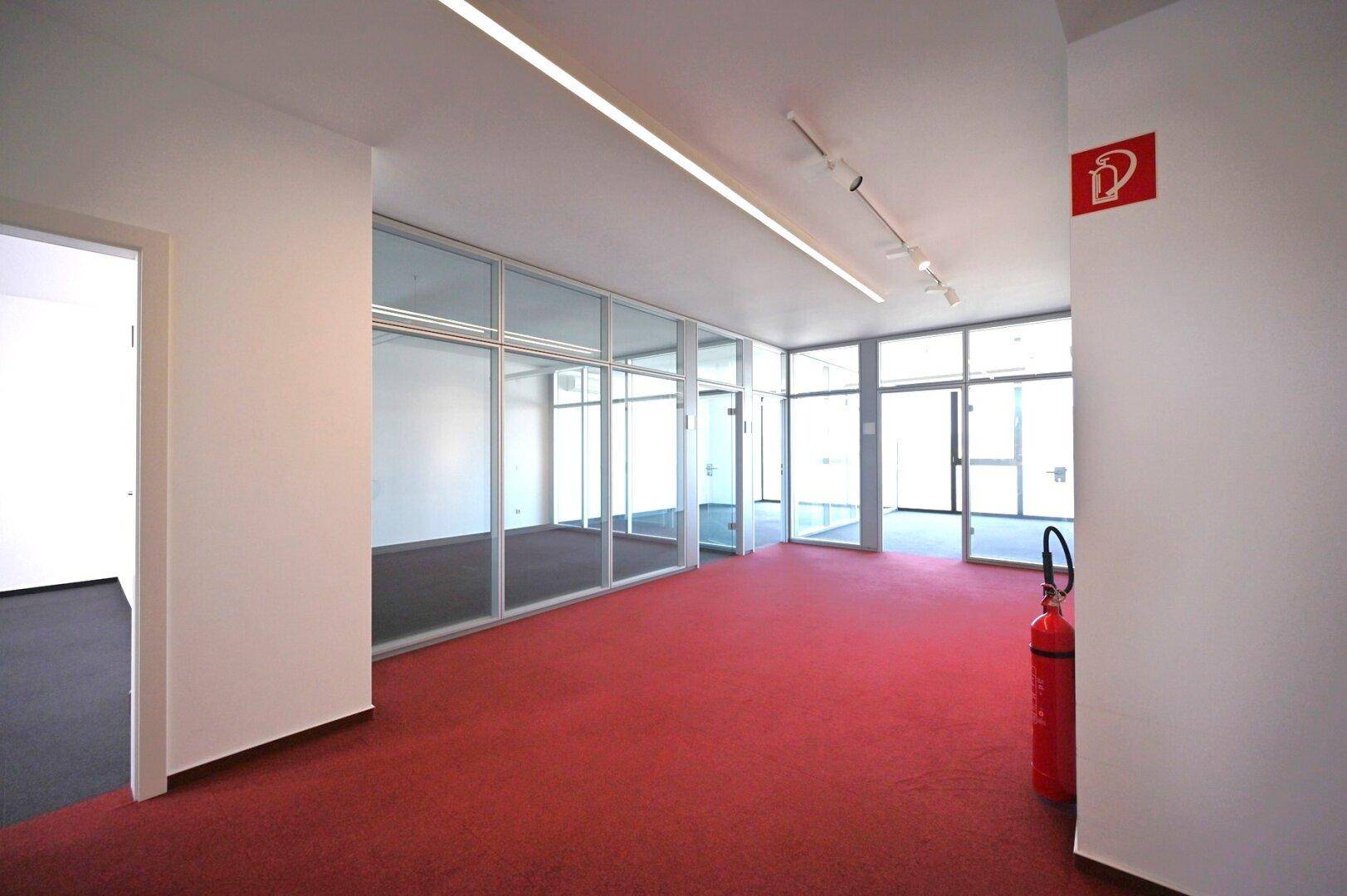 Geräumiger Flur mit rotem Teppichboden, Glaswänden und großen Fenstern, die viel Licht hereinlassen.
