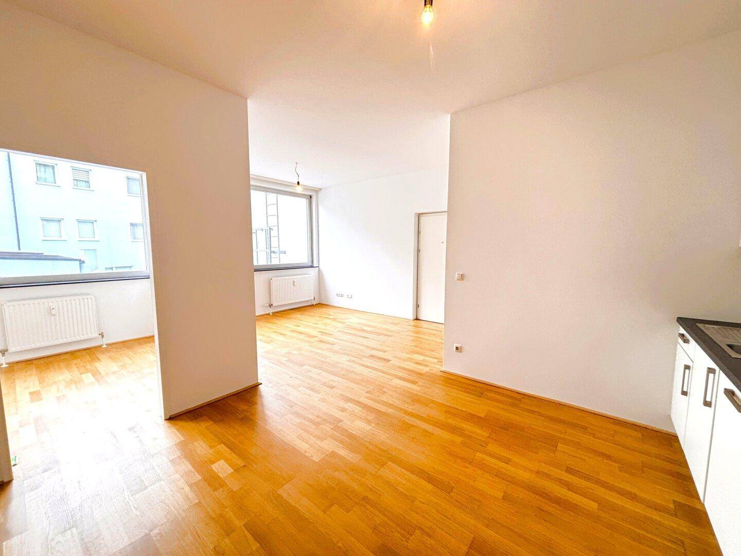 Blick von Küche ins WZ und SZ 1
