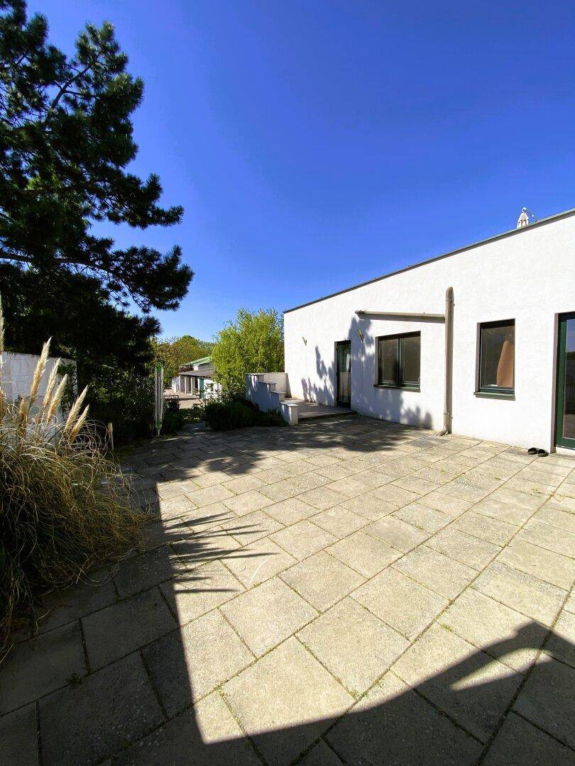 Große gepflasterte Terrasse neben dem Haus, umgeben von Gräsern und Bäumen.