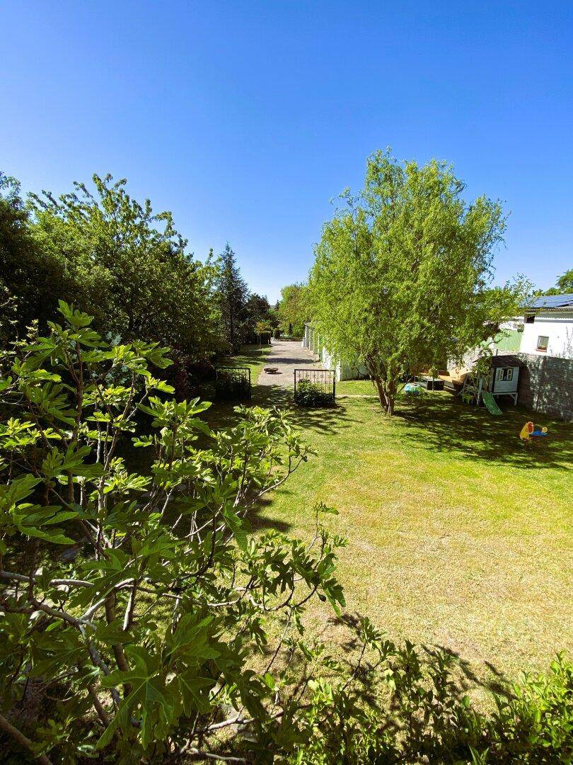 Langer Gartenweg umgeben von üppigem Grün und Bäumen unter strahlend blauem Himmel.