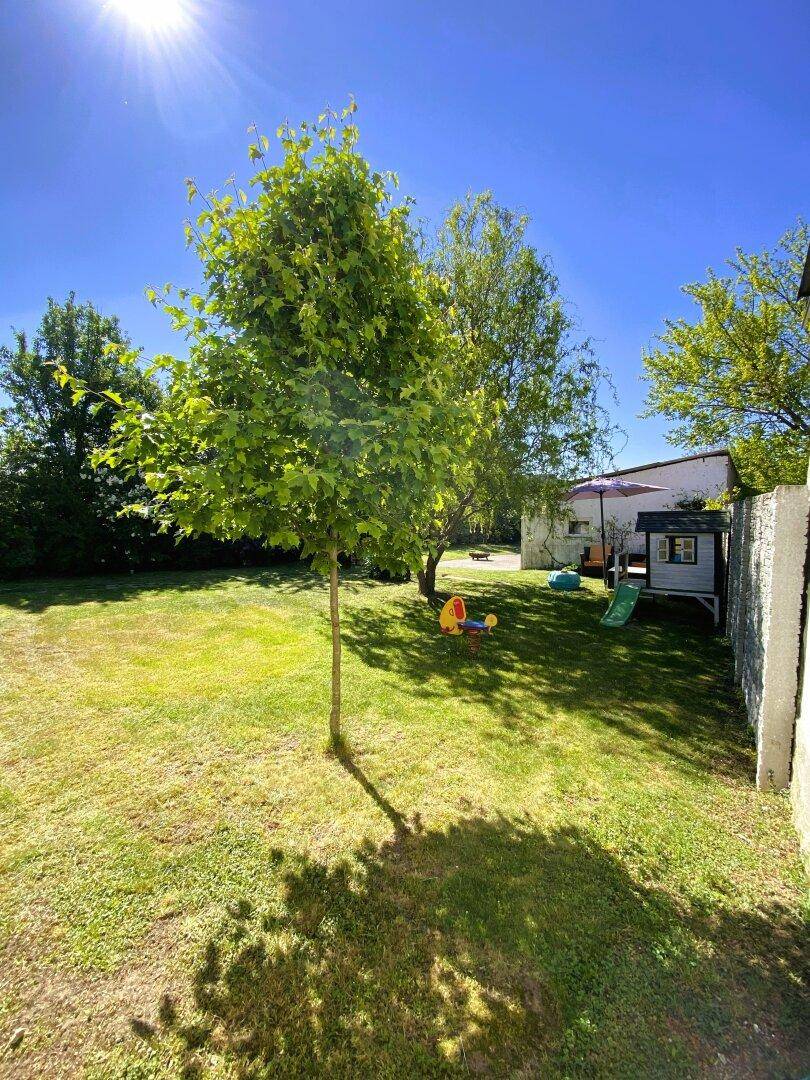 Sonniger Garten mit Rasenfläche, jungem Baum und Kinderspielgeräten im Hintergrund.