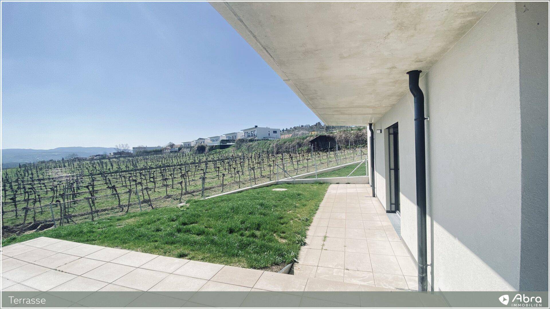 Sonniger Terrassenbereich mit Fliesen und Rasenfläche, direkt angrenzend an einen Weinberg.