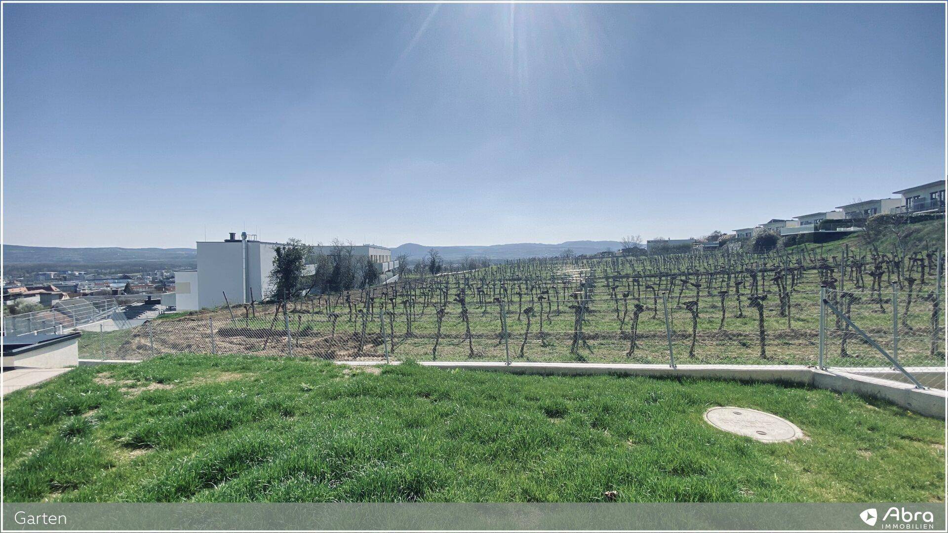 Gartenbereich mit Rasen und angrenzendem Weinberg, bietet einen weiten Blick auf die Umgebung.