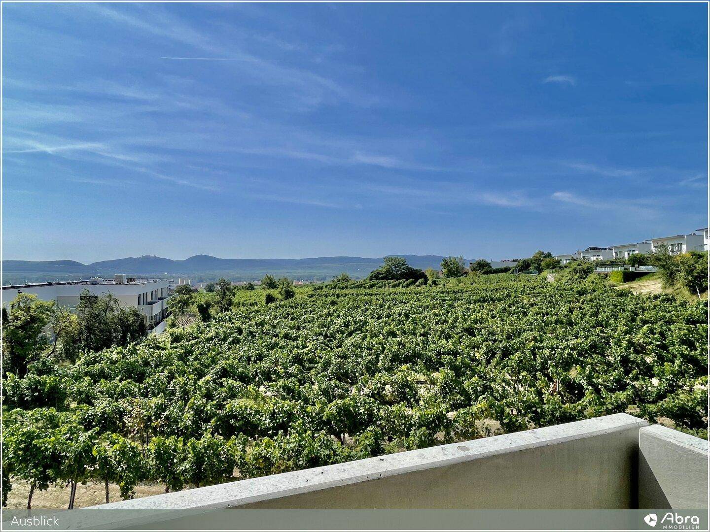 Malerischer Ausblick auf weitläufige grüne Weinberge und eine ferne Bergkette unter blauem Himmel.
