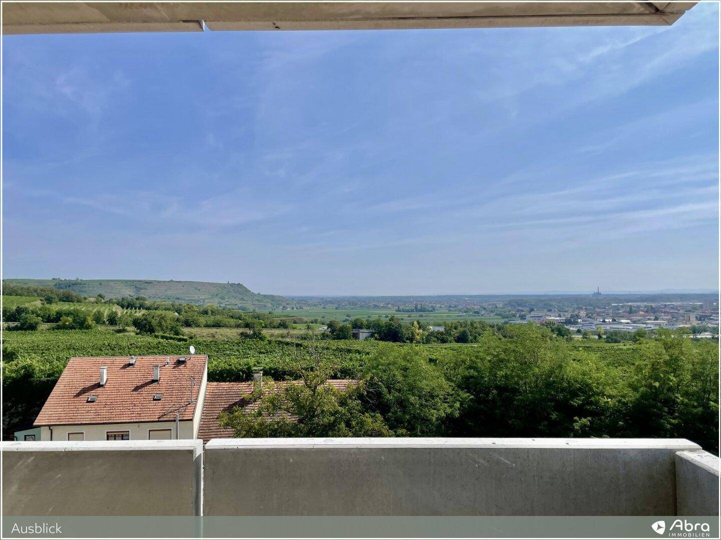 Weitläufiger Ausblick über grüne Weinberge, ein charmantes Haus und die umliegende Landschaft.