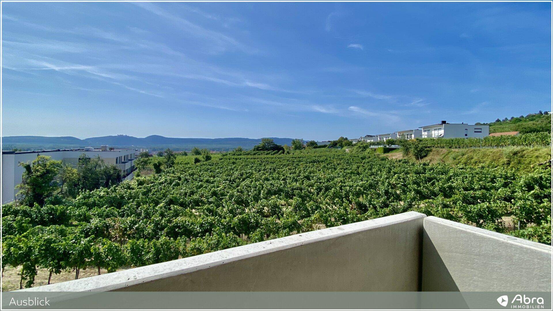 Panoramablick über grüne Weinberge, moderne Gebäude am Hang und eine ferne Berglandschaft.