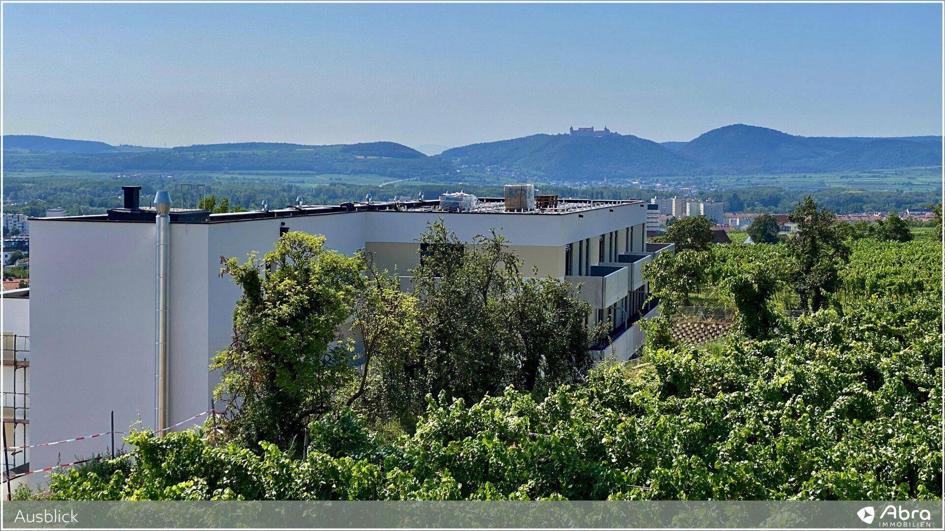 Blick auf ein modernes Gebäude mit Weinbergen im Vordergrund und einer beeindruckenden Bergkulisse.