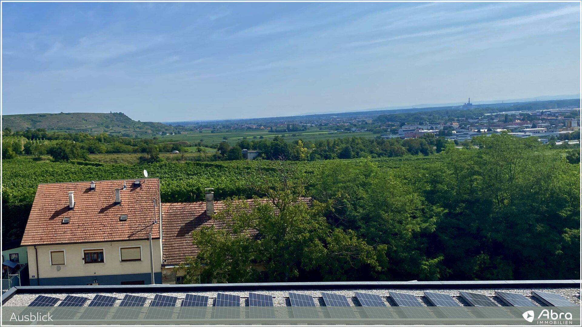 Ausblick auf Weinberge, ein Haus mit rotem Dach und Solarpaneele auf einem benachbarten Dach.