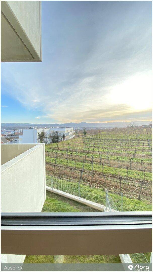 Blick aus dem Fenster auf Weinberge und entfernte Gebäude unter einem hellen Himmel.