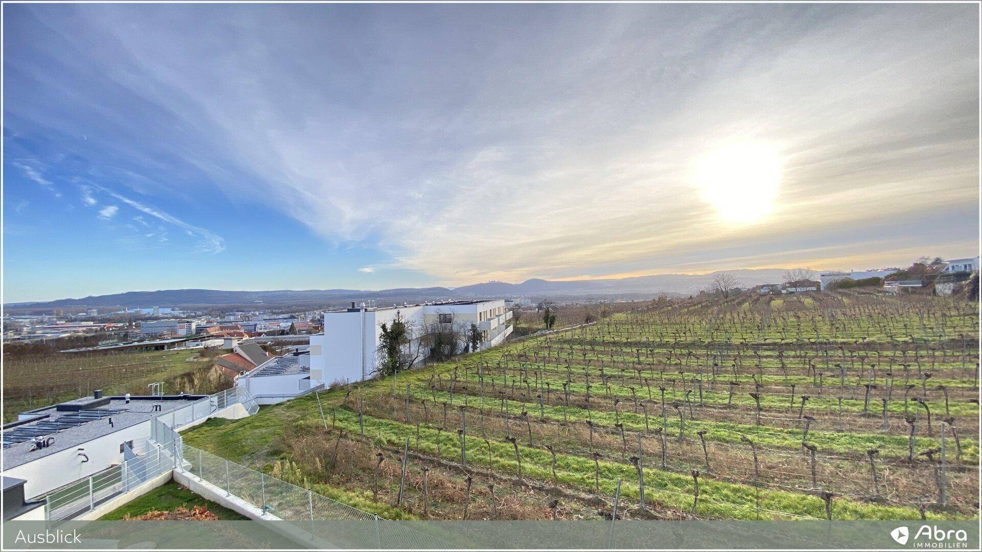 Panoramablick über Weinberge, moderne Gebäude und ferne Berge bei strahlendem Sonnenschein.