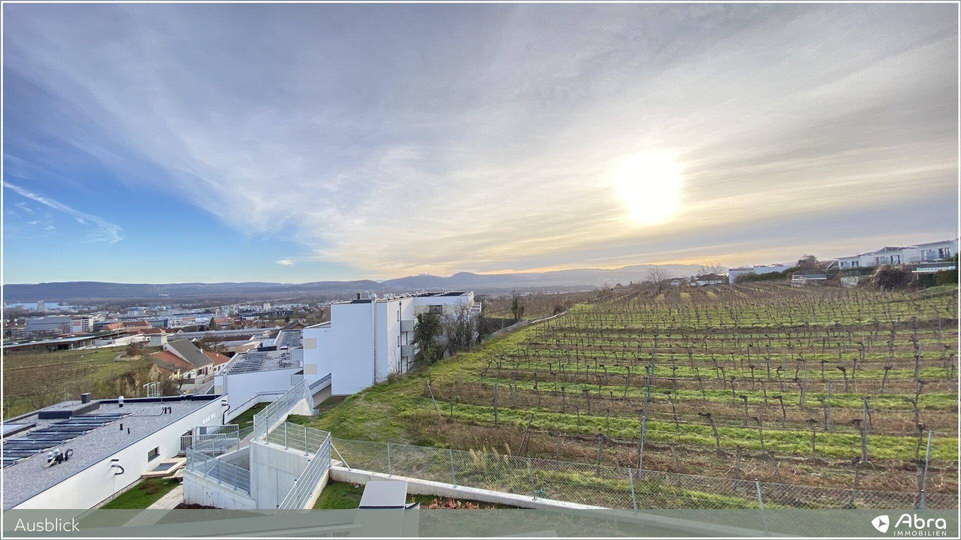Panoramablick über Weinberge, moderne Gebäude und ferne Berge bei strahlendem Sonnenschein.