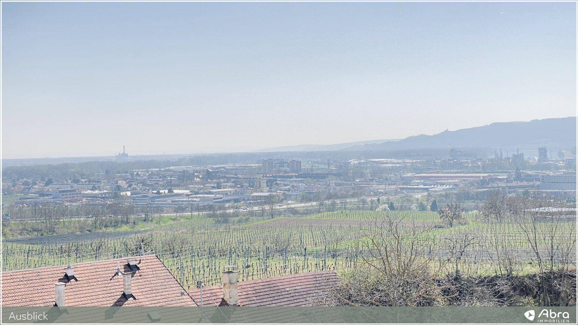 Panoramablick über Weinberge und die weite Landschaft bis zur Stadt.