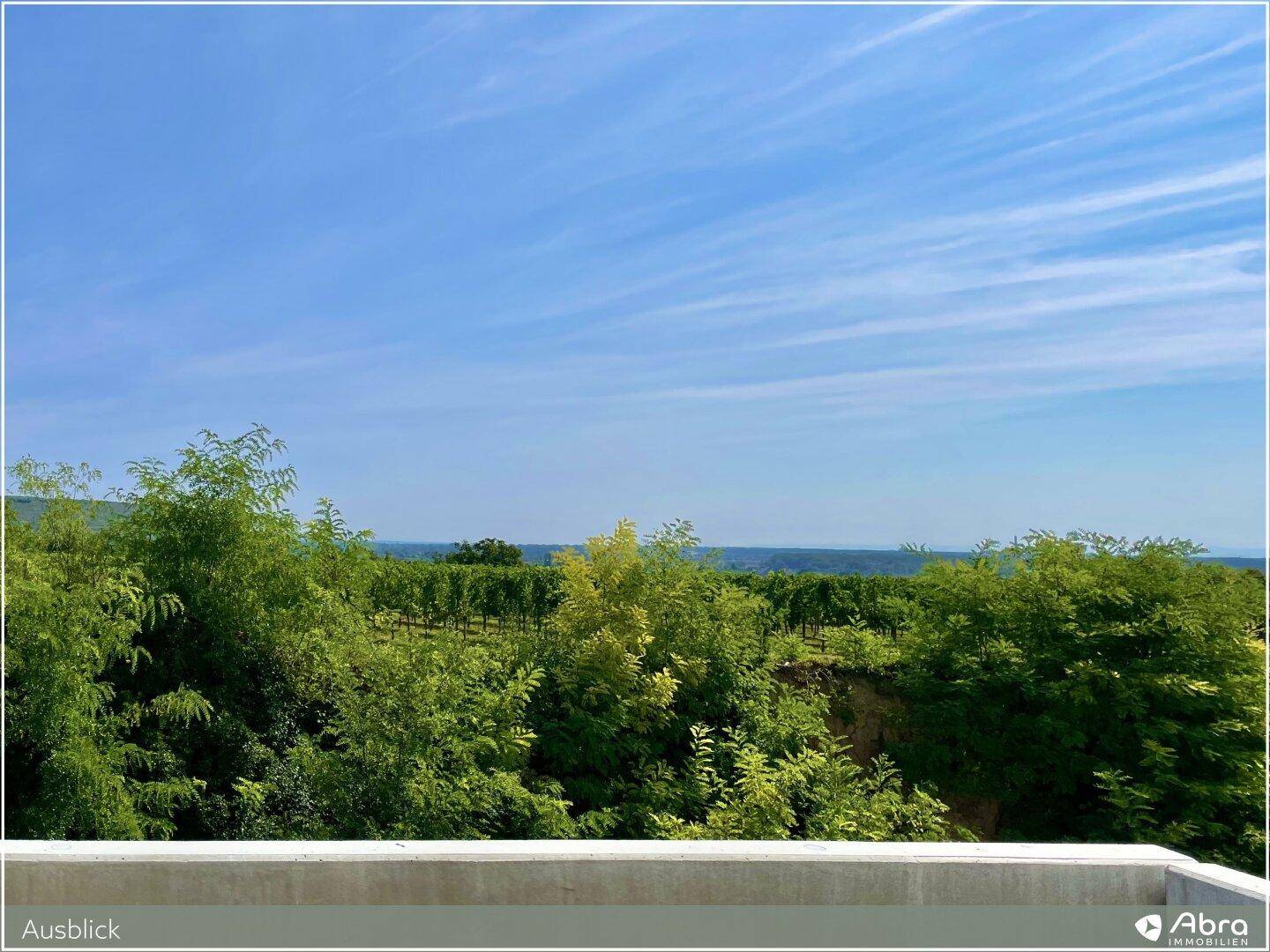 Grüner Ausblick von einem Balkon auf Weinberge und die weite Landschaft unter blauem Himmel.