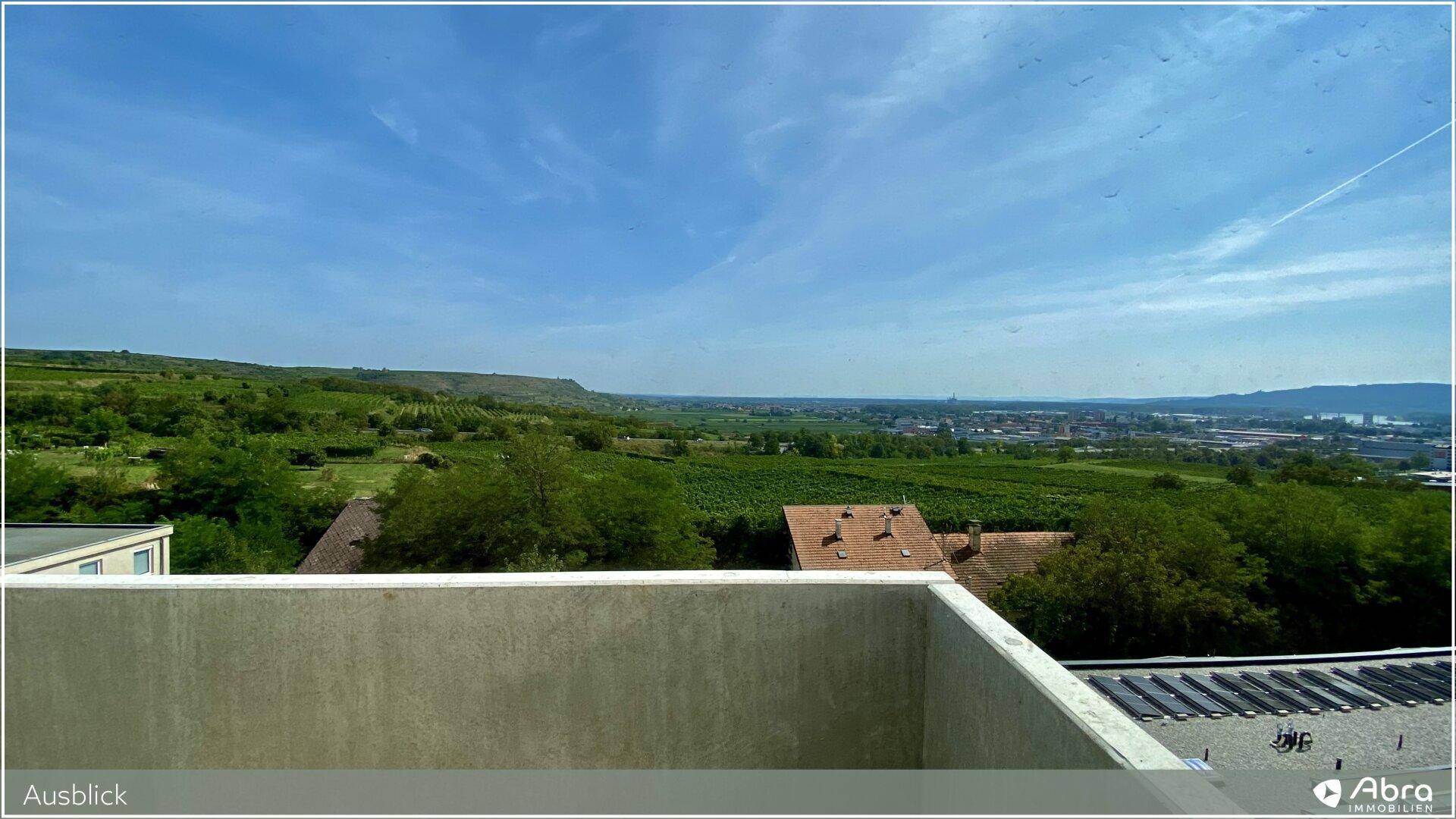 Weitläufiger Blick über Weinberge und eine grüne Landschaft mit einer Stadt in der Ferne.