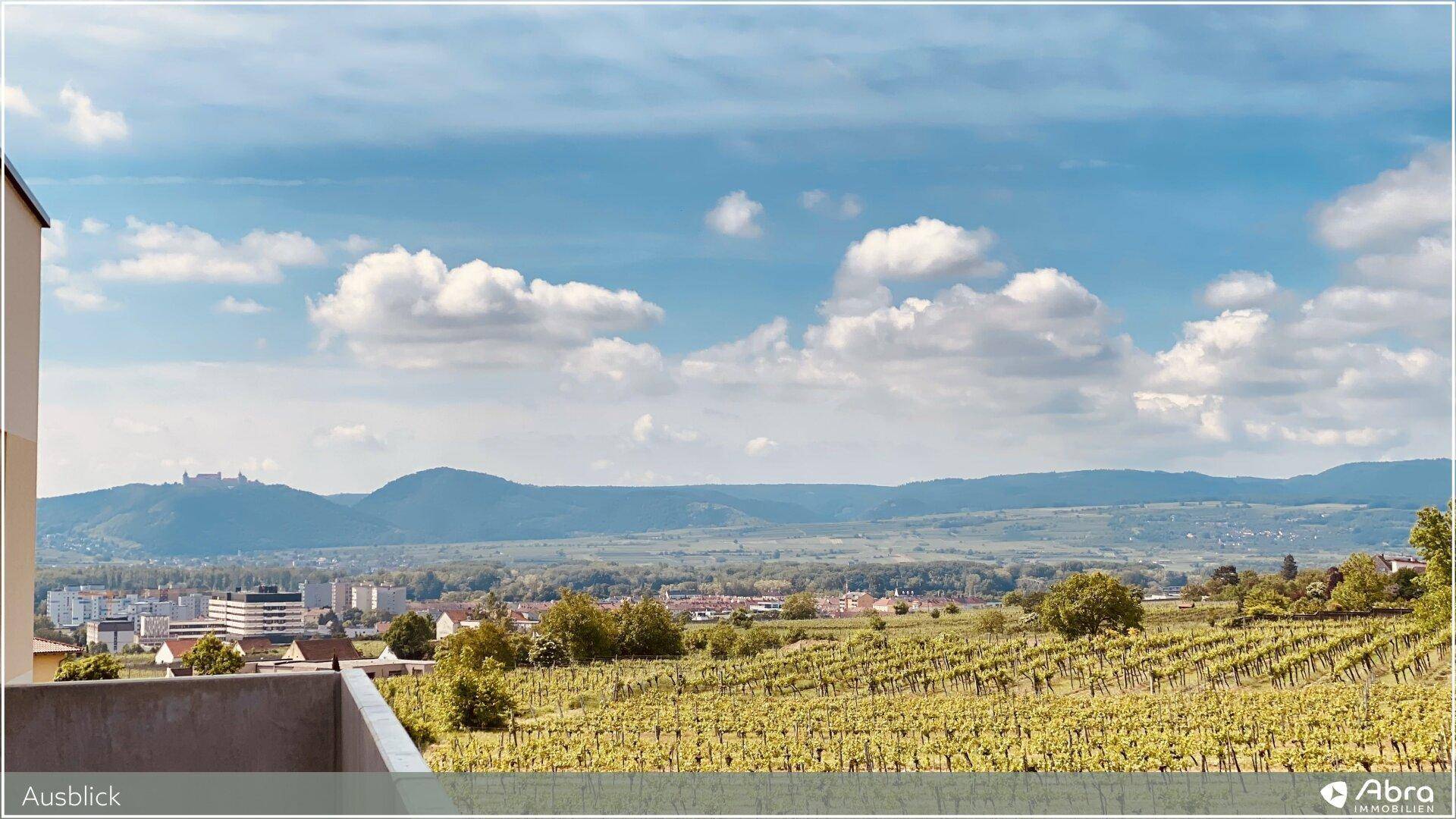 Panoramablick über weite Weinberge, eine Stadt und ferne Berge unter blauem Himmel.