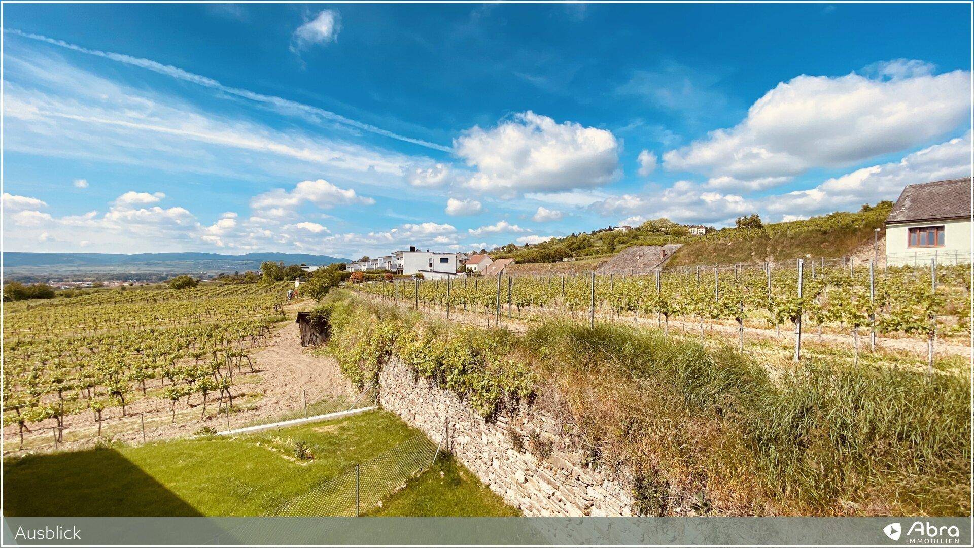 Weitläufige Weinberge mit einer alten Steinmauer und Häusern in der Ferne.