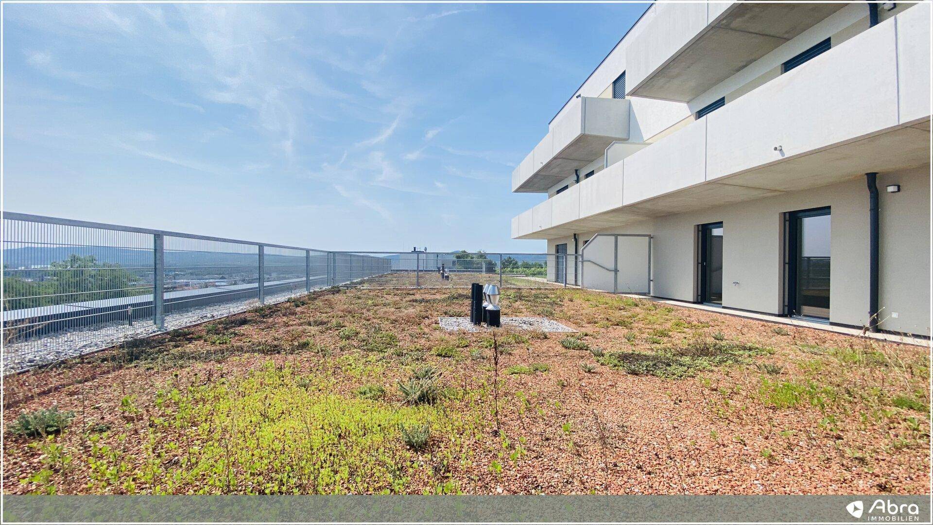 Weitläufige begrünte Terrasse mit moderner Gebäudefassade und weitem Blick in die Natur.