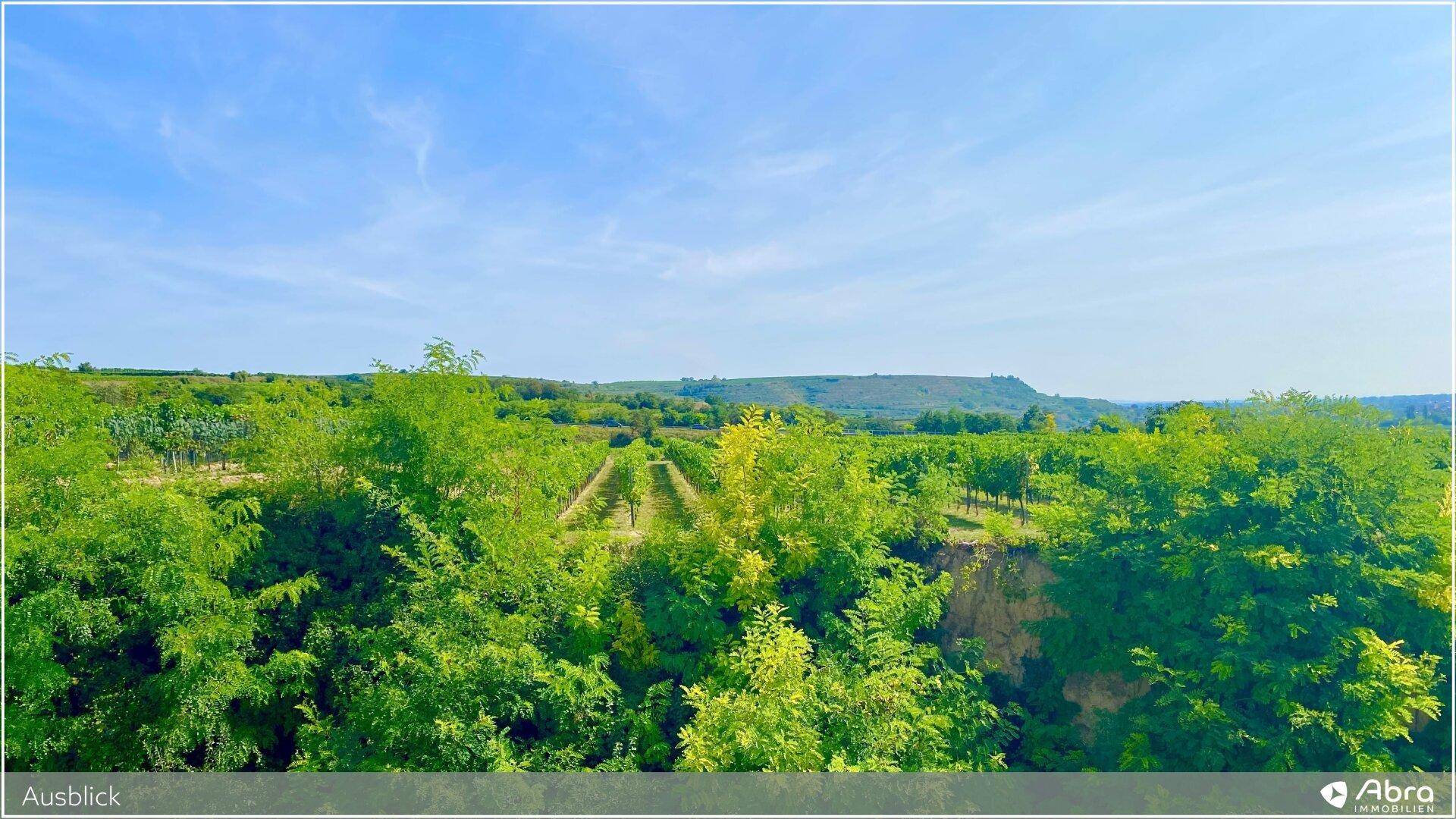 Weitläufiger Ausblick über die grüne Landschaft mit Feldern und Bäumen unter blauem Himmel.