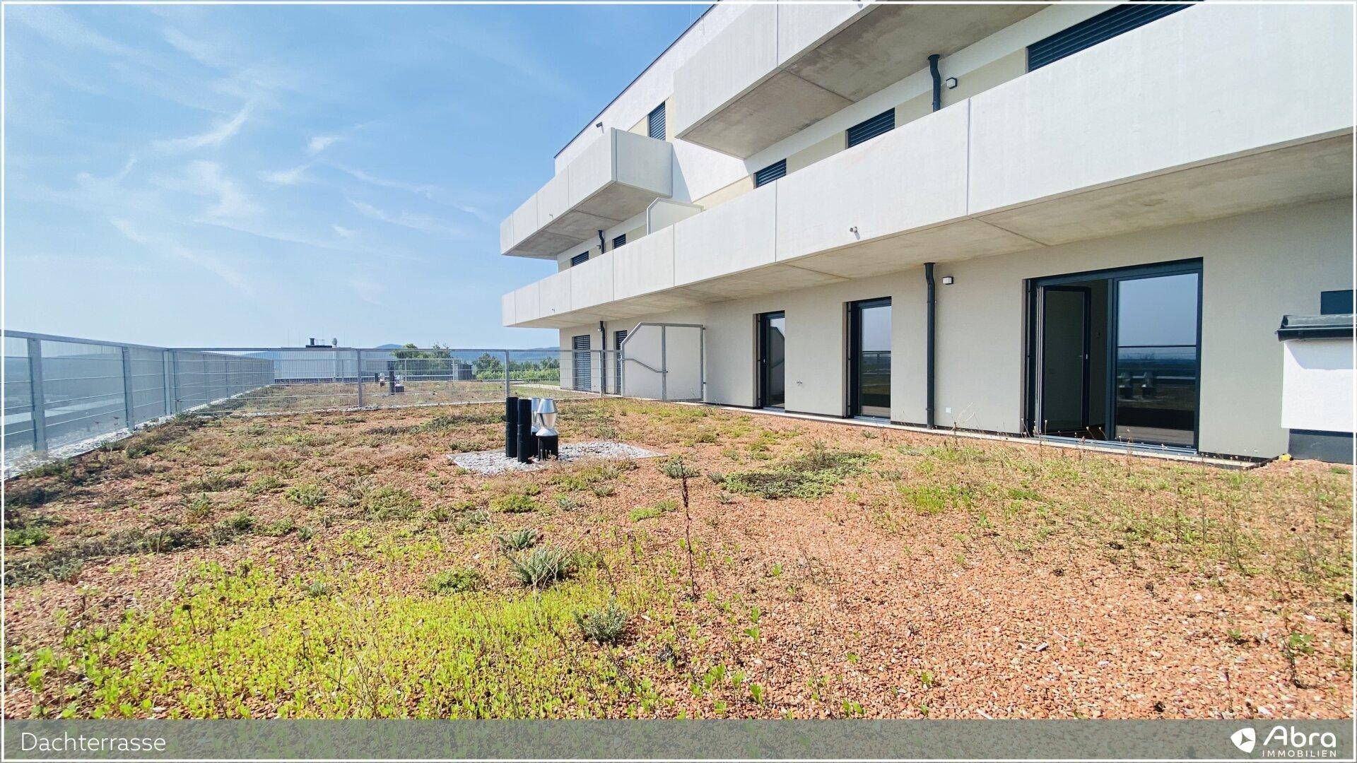 Große Dachterrasse mit viel Grün und weitem Blick, ideal für Erholung im Freien.