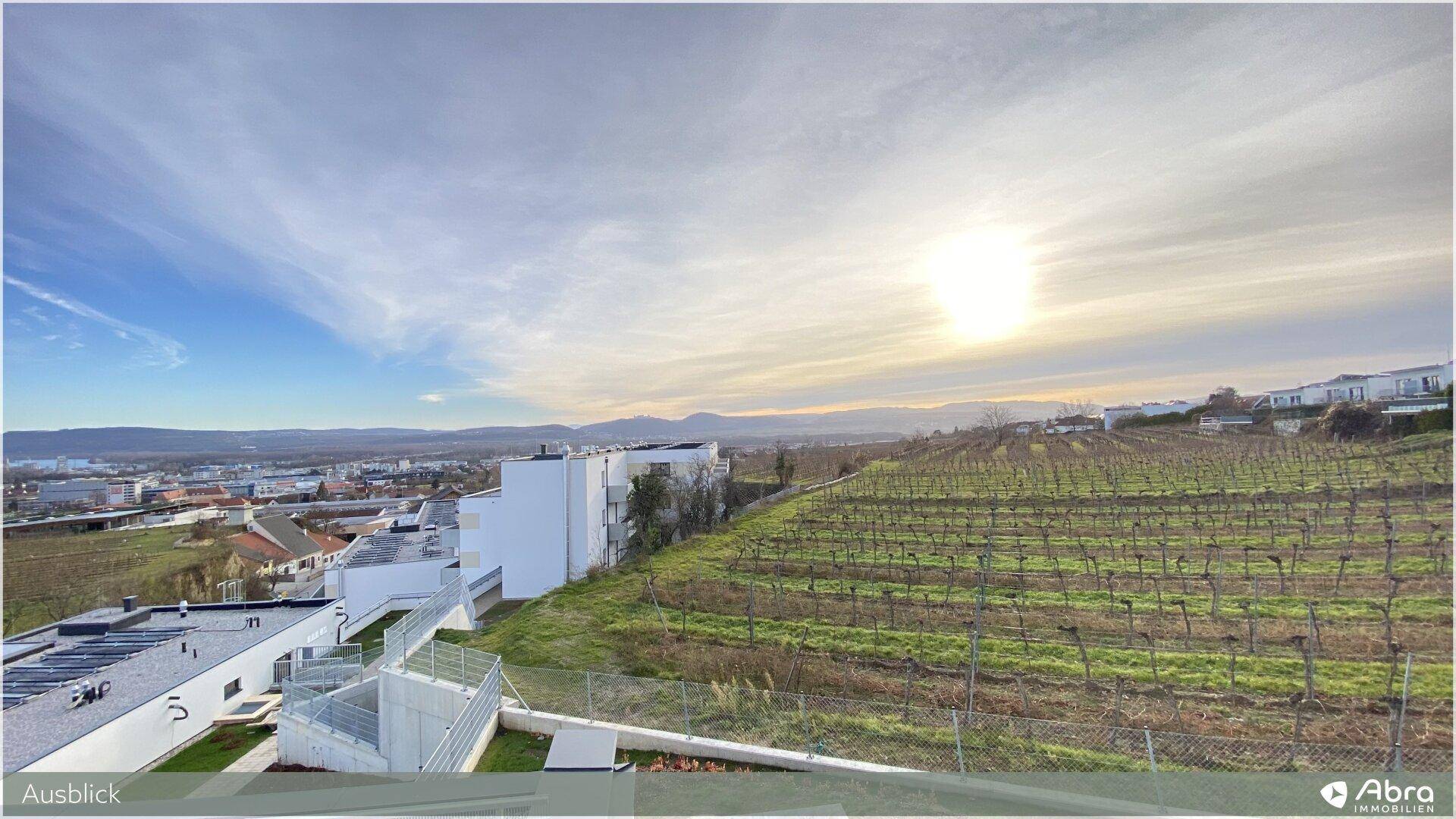 Sonnenuntergang über den Weinbergen mit Blick auf die umliegende Bebauung und warme Himmelsfarben.