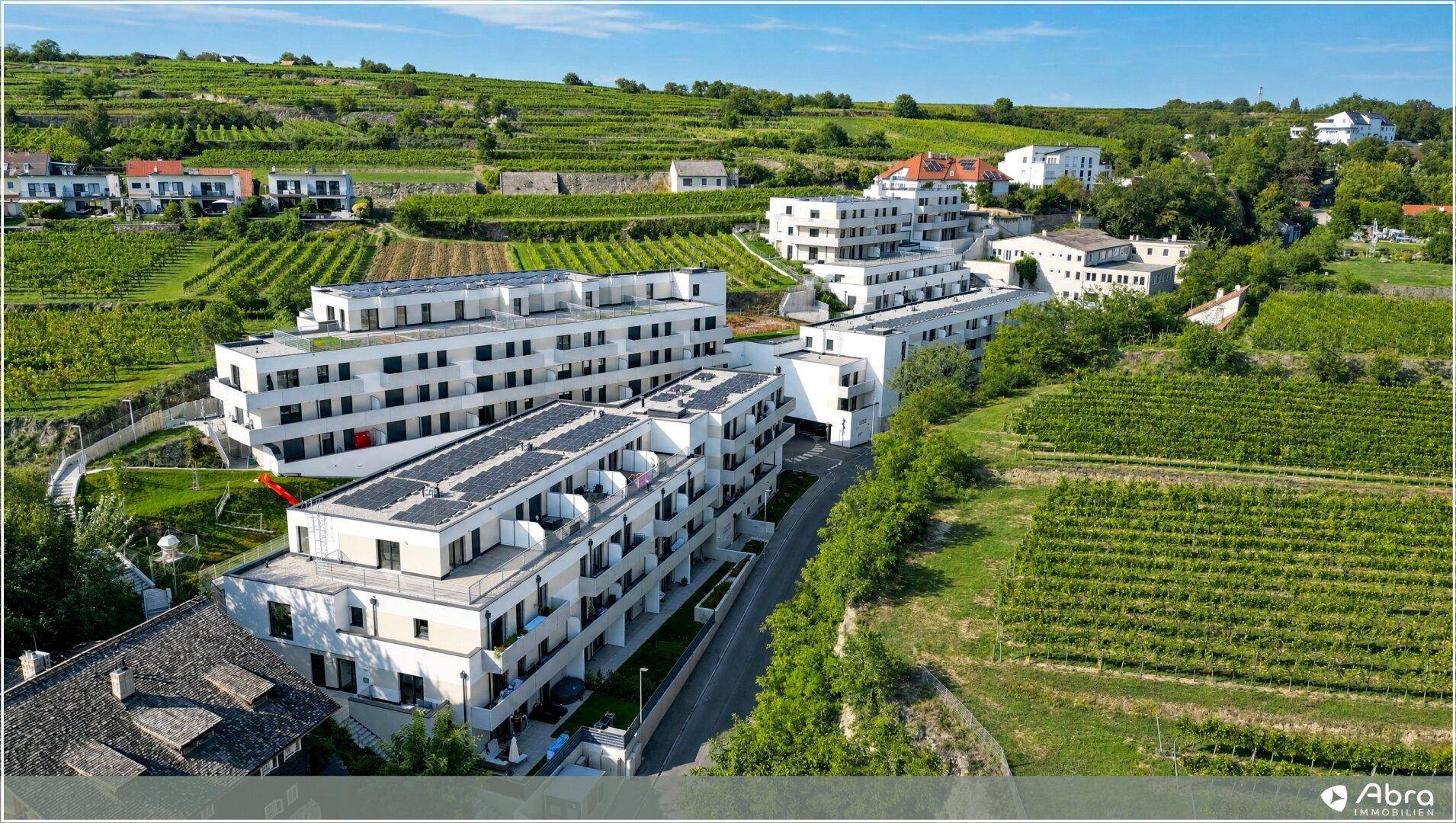 Luftaufnahme moderner Wohngebäude inmitten von Weinbergen mit Blick auf die umliegende Landschaft.