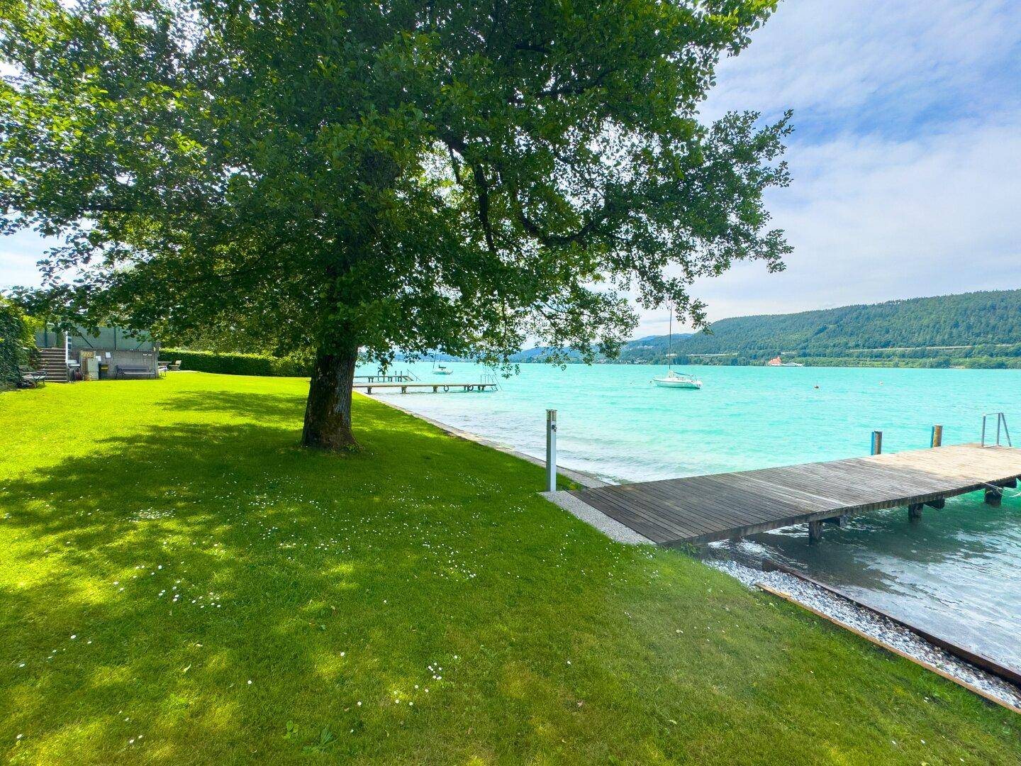Malerischer Seeblick mit privatem Steg, großem Baum und weitläufiger Rasenfläche.