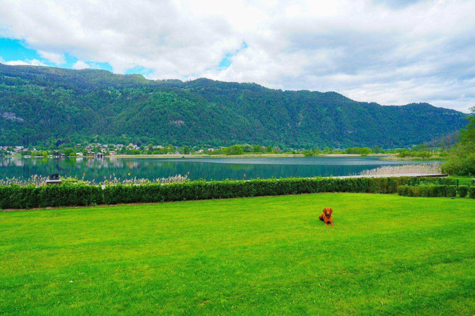 Großer, gepflegter Rasenbereich mit direktem Zugang zum See und Bergblick.
