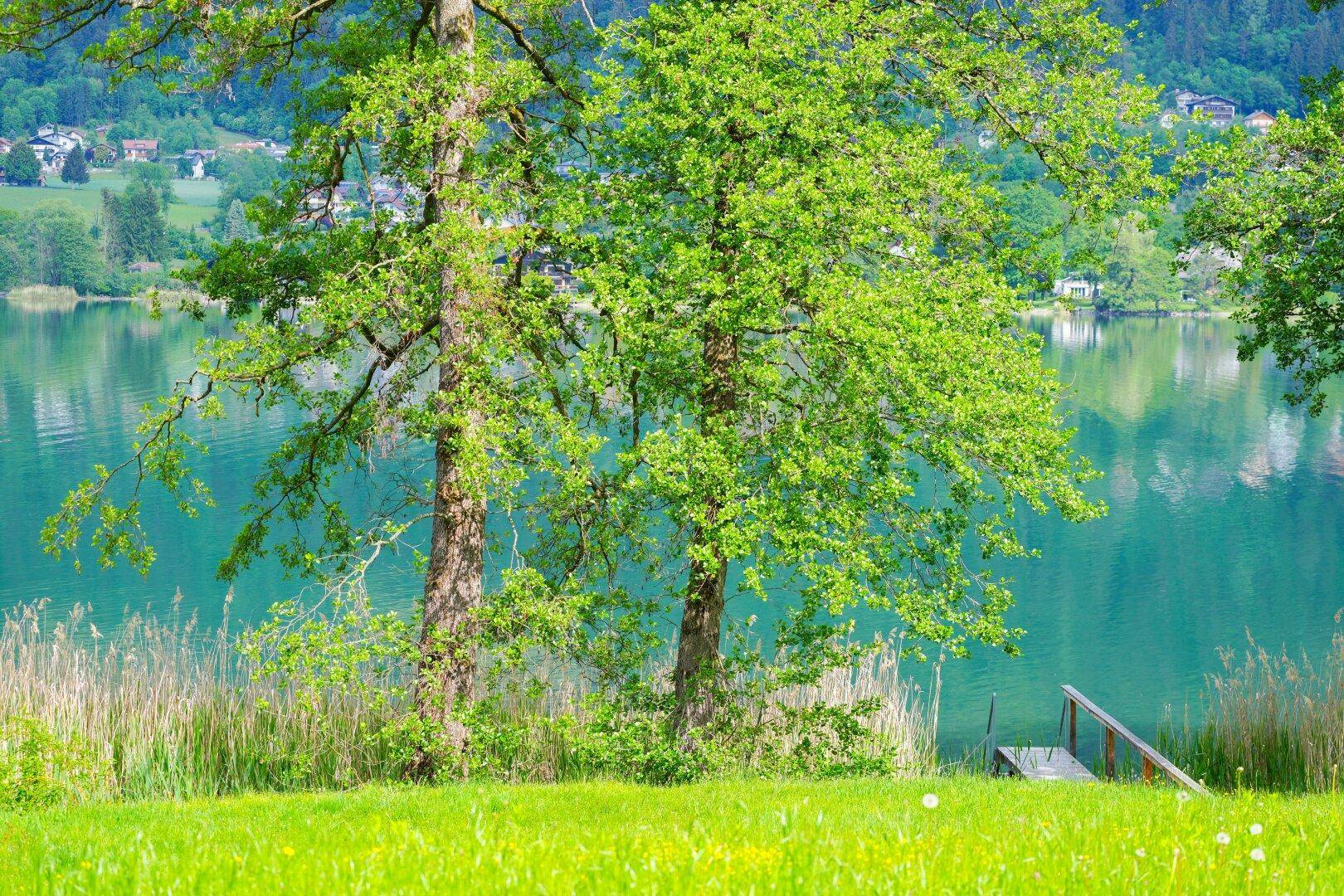 Gigantische SEELIEGENSCHAFT in absoluter Ruhelage am OSSIACHERSEE (Freizeitwohnsitz) - Ansicht 4