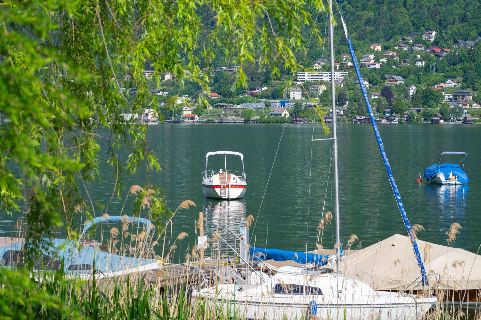 SEEGRUNDSTÜCK mit der perfekten Uferlänge und Grundtücksschnitt - Ansicht 3