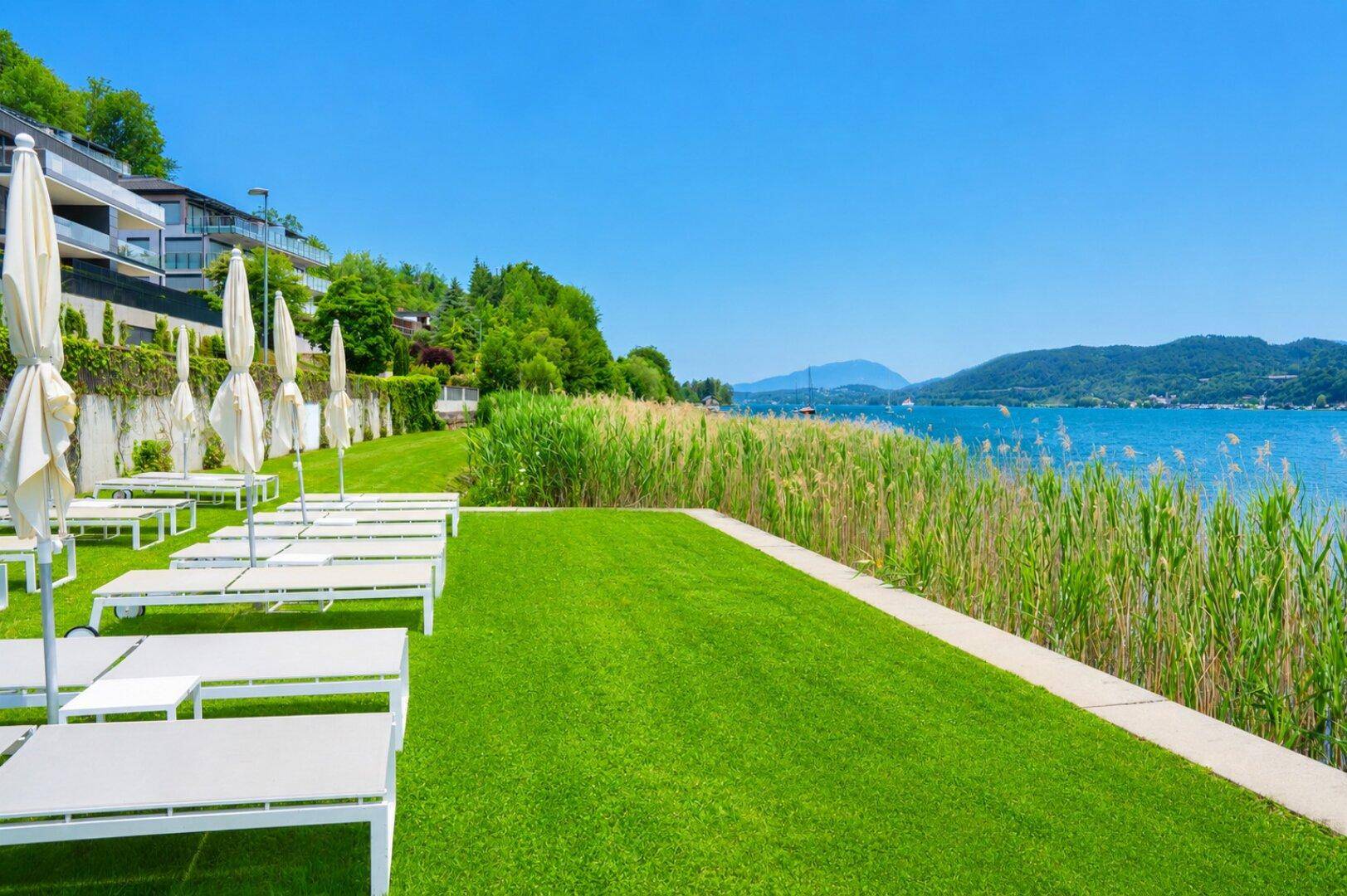 Große grüne Liegewiese mit Sonnenliegen und Schirmen am Seeufer mit Bergblick.