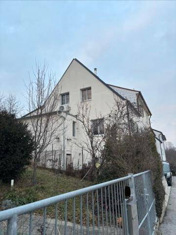 Seitenansicht des Hauses mit Giebeldach und umgebender Vegetation an einem bewölkten Tag.