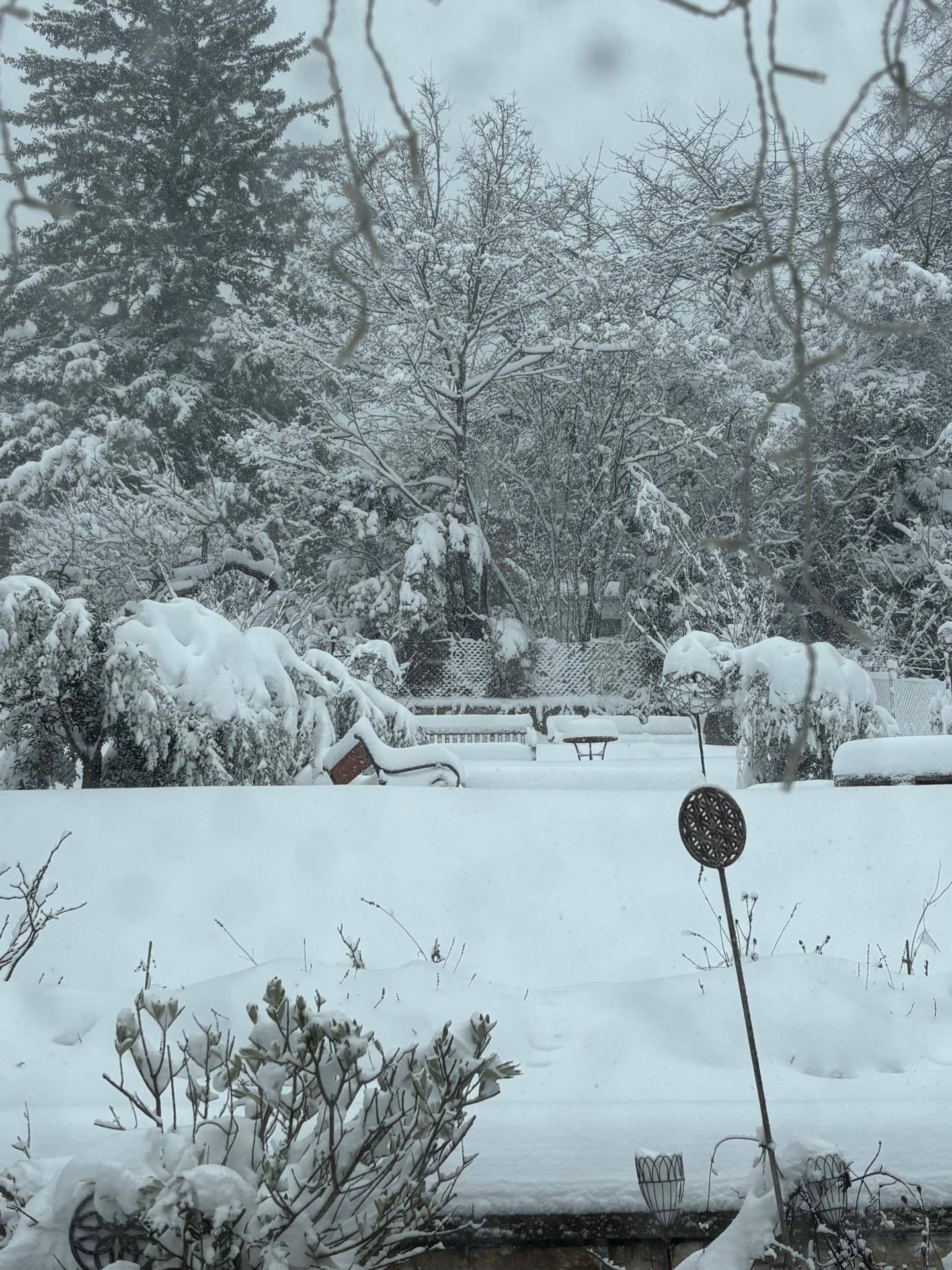 Winterlicher Garten mit tiefem Schnee, Bäumen und einer Bank, bedeckt von einer Schneedecke.