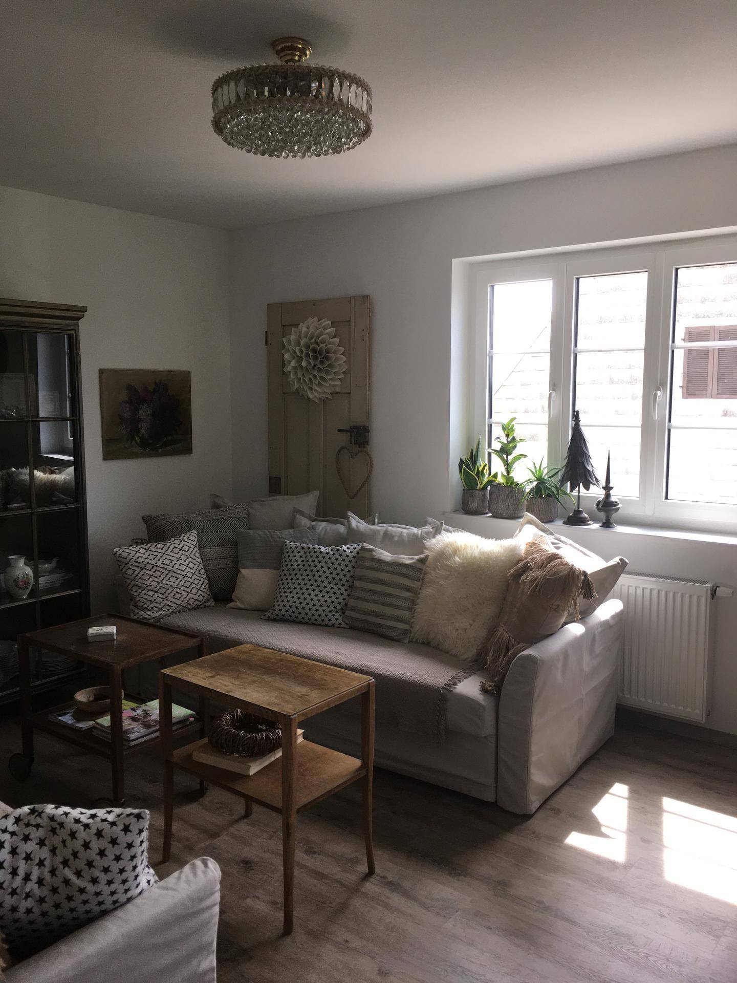 Helles Wohnzimmer mit Sofa, Holzboden und großem Fenster für viel Tageslicht.