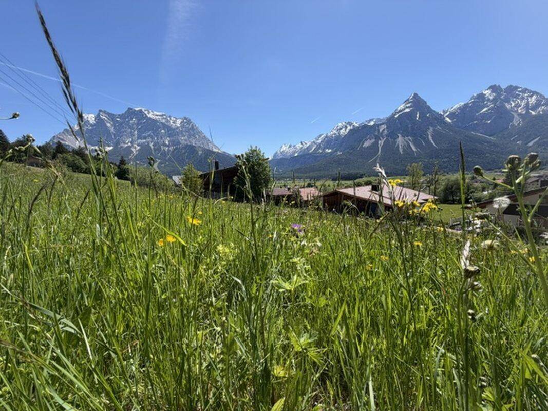 Blick durch hohes Gras auf Häuser in einem Tal mit beeindruckender Berglandschaft im Hintergrund.