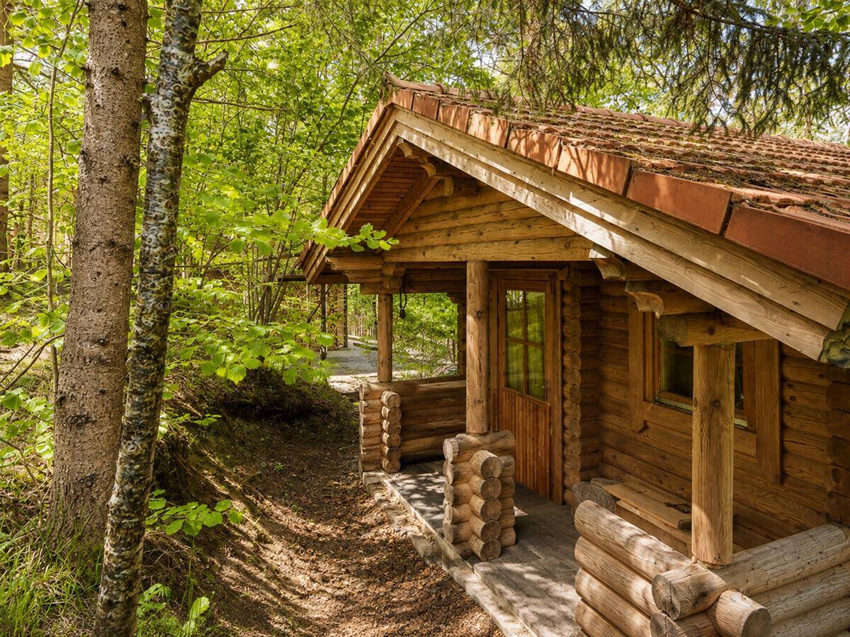 Kleine Holzhütte im Wald, umgeben von Bäumen und mit rustikalem Charme.