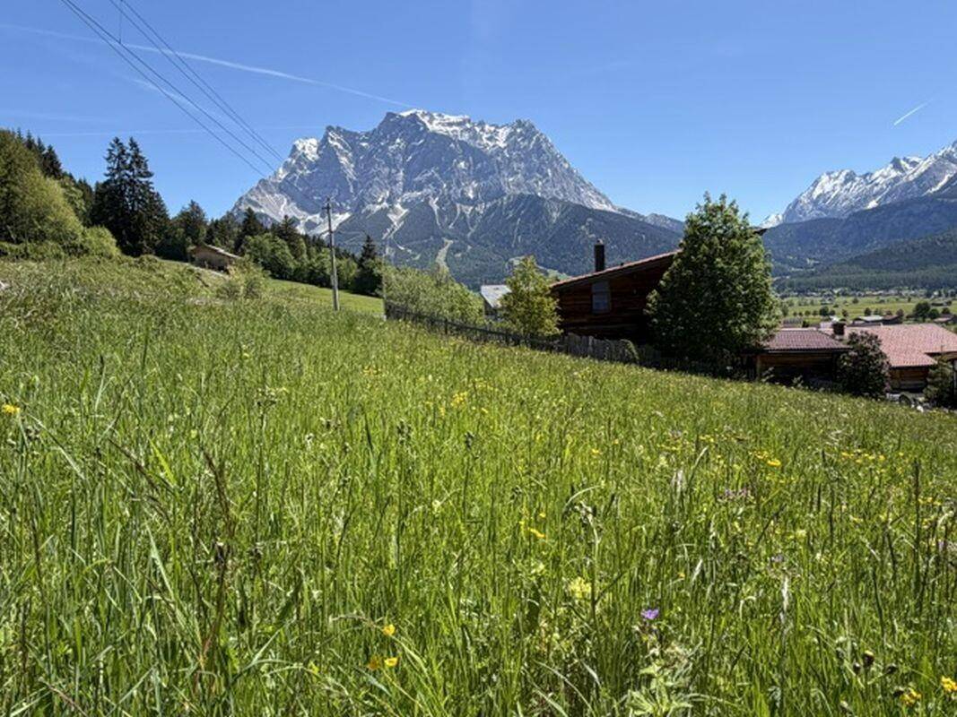 Weitläufige grüne Wiese mit vereinzelten Häusern und einer beeindruckenden Bergkette am Horizont.