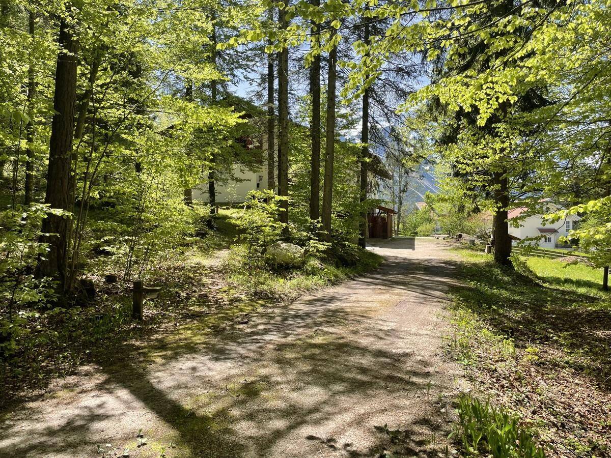 Direkt am Waldrand