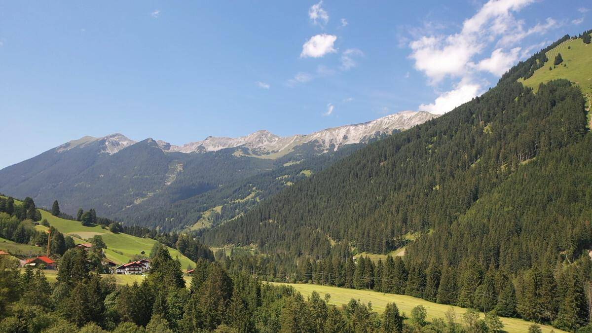 Blick auf eine bewaldete Bergkette mit grünen Hängen und vereinzelten Häusern im Tal.