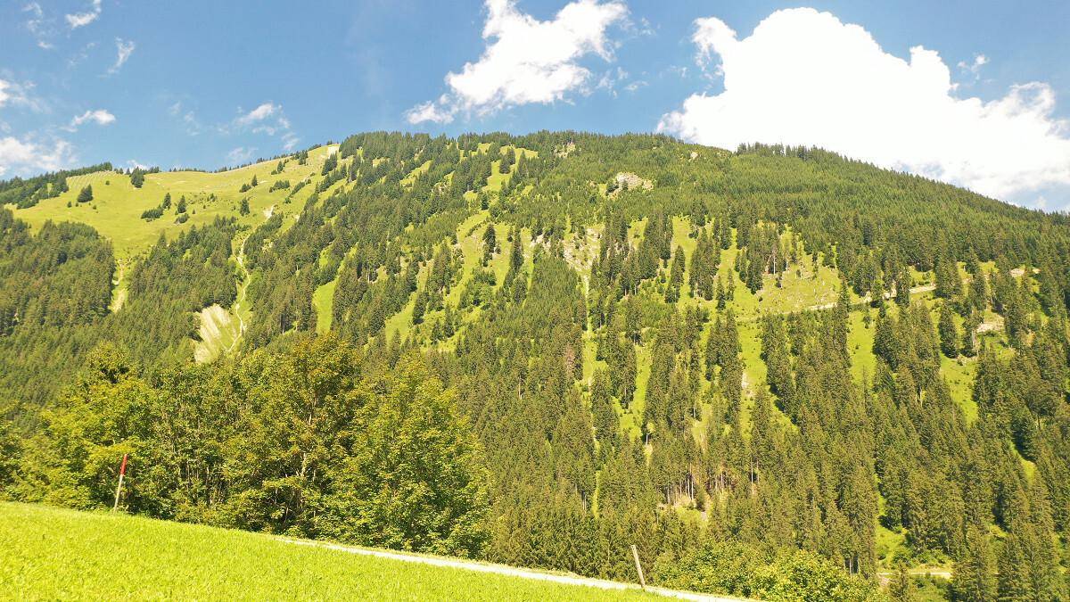 Grüner, bewaldeter Berghang unter blauem Himmel mit vereinzelten Wolken.