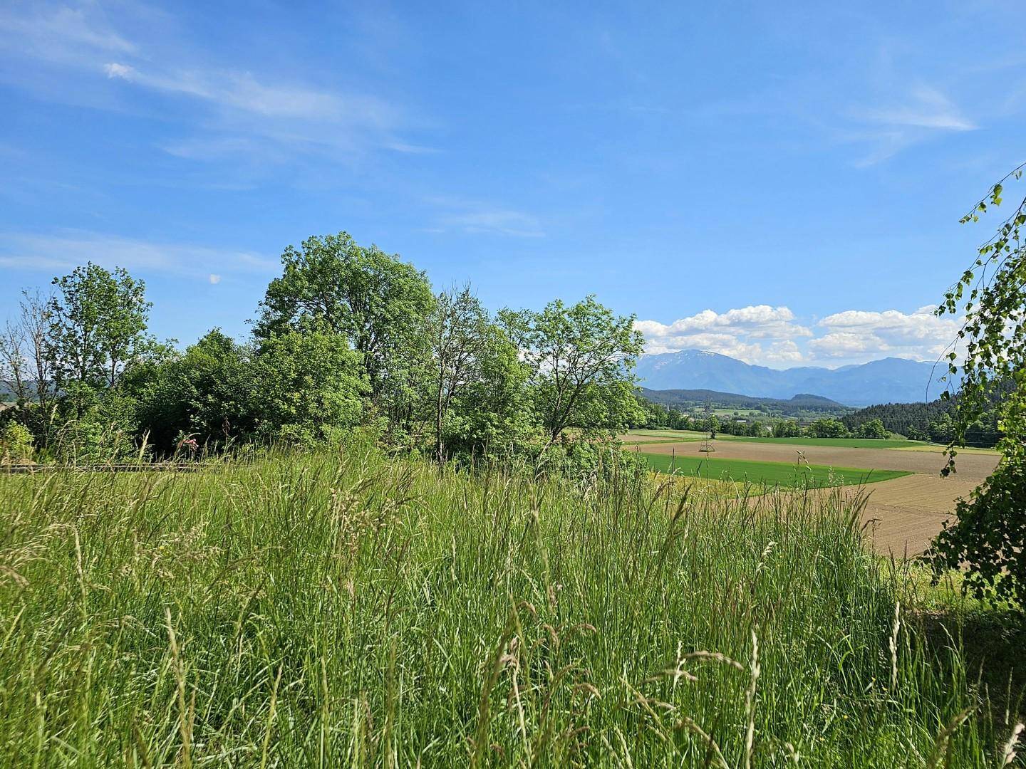 Gartenblick