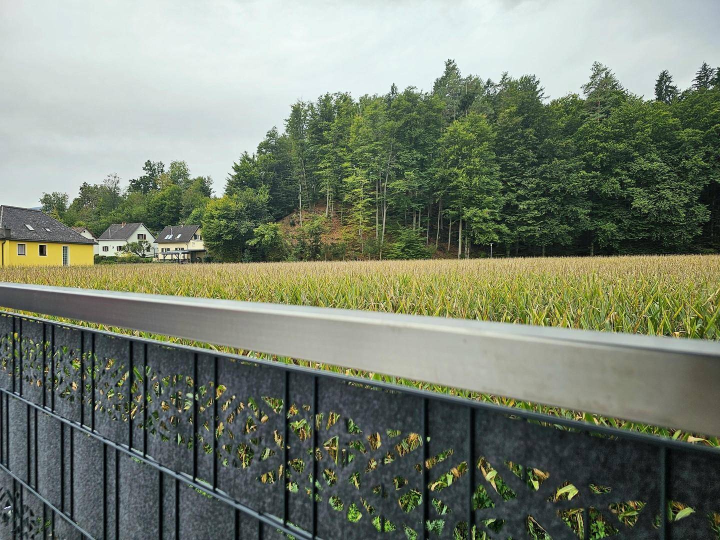 Top 2 Terrasse - Sichtschutzelement