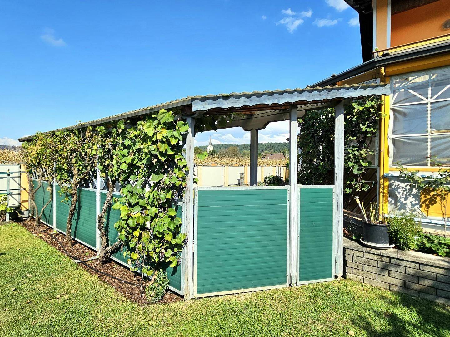 Garten - Weinlaube beim Pool