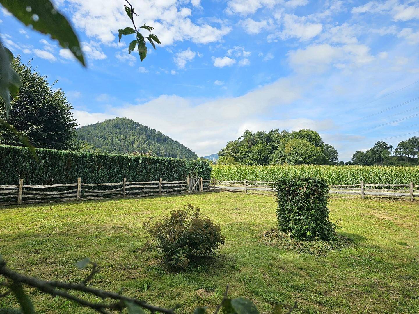 Ausblick vom Garten