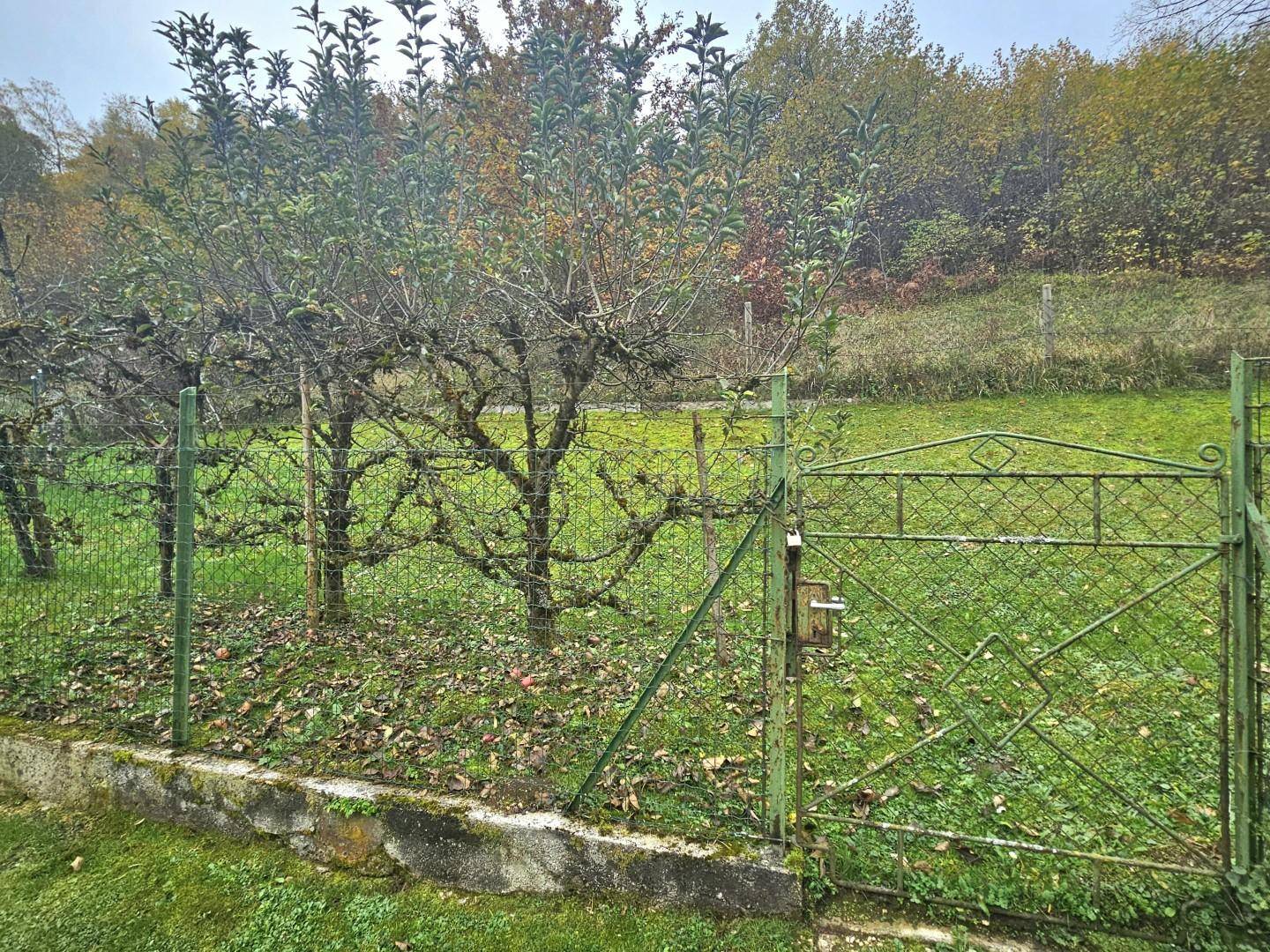 Obstbaum Garten süd/östlich